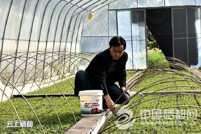 谢东升：扶贫路上的“土专家”