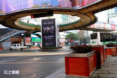 市城管执法局：绿化美化环境构筑城市生态“屏障”（图）