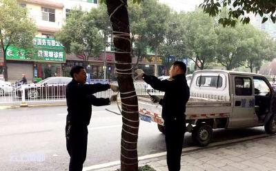 市城管执法局：专项整治乱牵乱挂行为