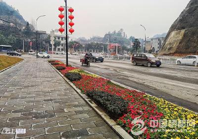 【图片新闻】州城透绿插绿复绿靓丽迎新春