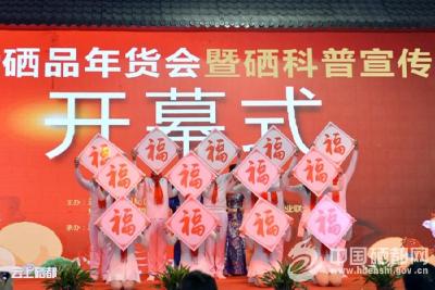 【摄影专题】打年货 迎新年