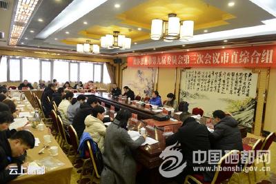 【聚焦两会】发挥政协优势 助力精准脱贫