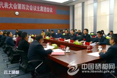 【聚焦两会】市十届人大四次会议主席团召开第二次会议