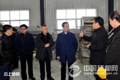 向前进:精细精确精致 全面展现恩施马铃薯产业发展潜力