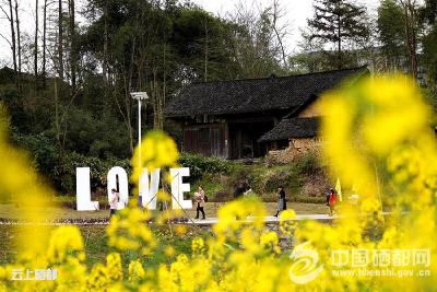 【图片新闻】乐享春光