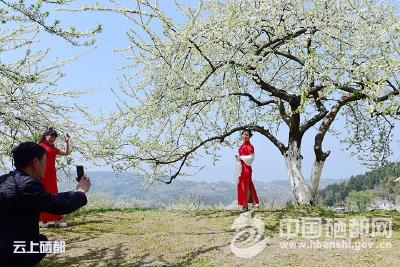 【图片新闻】踏青赏花