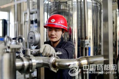 【图片新闻】打造马铃薯精深加工产业链