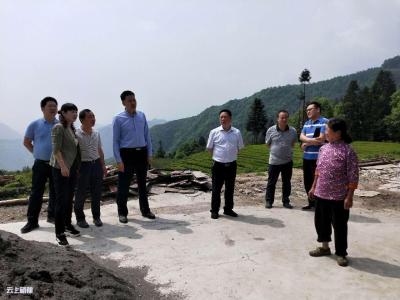 市领导到白果乡肖家坪村调研“三大行动”工作情况  