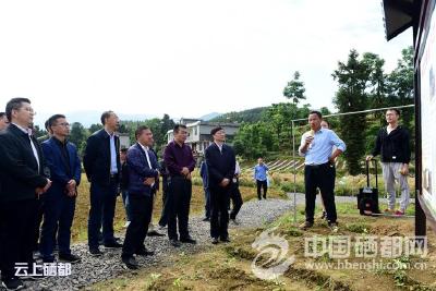 恩施市推进"聚力脱贫攻坚·人大代表在行动"工作