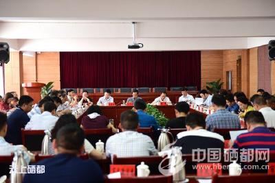 恩施市召开2019年第七次市委常委（扩大）会议
