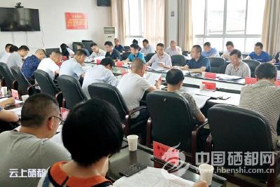 恩施市“对症下药”解决“两不愁三保障”突出问题