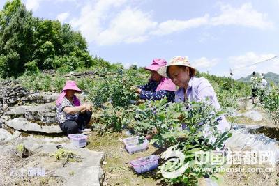 心系贫困群众  筑梦脱贫攻坚
