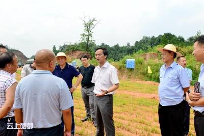 快讯｜州政协副主席、市委书记向前进调研城区“裸土覆绿”工作 