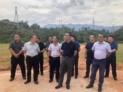 快讯｜向前进调研城区“裸土覆绿”工作