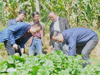 向前进：再强措施 力量下沉 确保脱贫攻坚交硬账