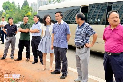 向前进：标本兼治 长效推进 早日实现“绿满州城”