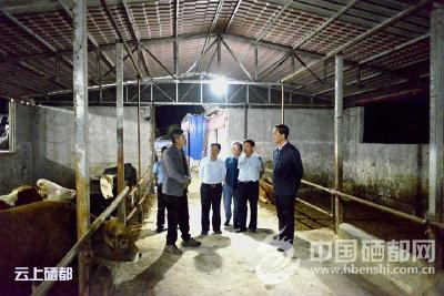 向前进：精准找短板 问题整改全清零
