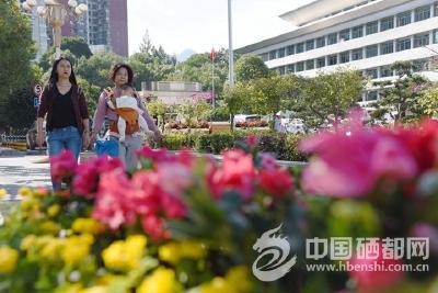 扮靓州城 喜迎国庆 