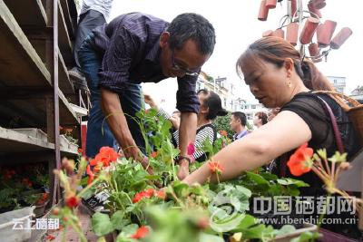【壮丽70年】恩施市盛家坝乡经济社会发展纪实