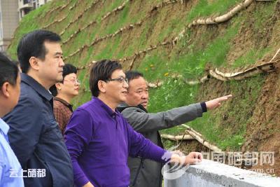 省林业局到恩施市调研“裸土复绿”工作