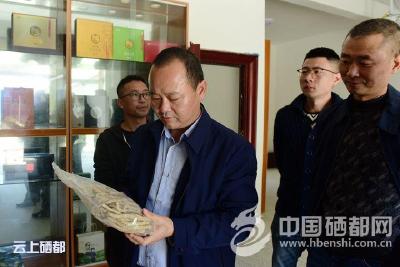 苏勇到板桥镇调研督办精准扶贫工作