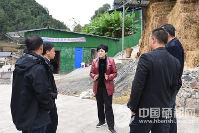 【主题教育】州领导到恩施市开展主题教育专题调研