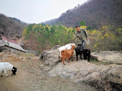 脱贫故事｜郑兴兵：深山养殖，脱贫又脱单