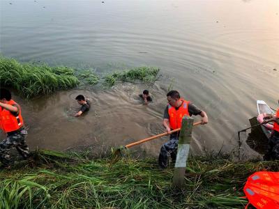 防汛救灾｜湖北松滋：风雨同舟筑安澜