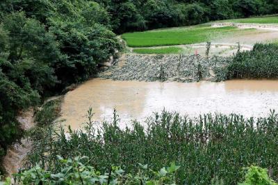 防汛救灾｜湖北松滋：六千干群坚守堤防一线 战胜当地史上最大洪灾