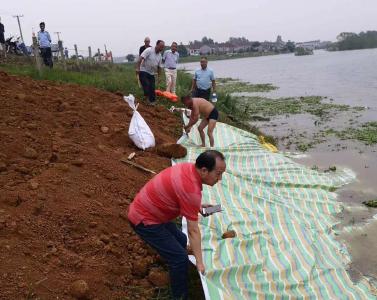 【防汛抗洪】湖北松滋：堤坝漏水，55岁退伍老兵带头跳入水中堵漏