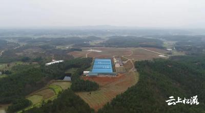 “煤老板”转型“农场主”，建起500亩立体种养基地