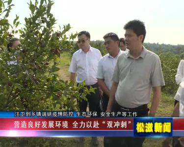 汪卫到乡镇调研疫情防控 生态环保 安全生产等工作（20210916）