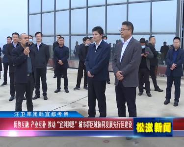 汪卫率团赴宜都考察（20211105）