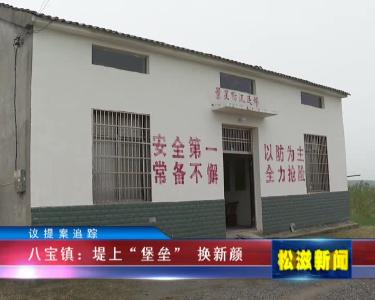 【议提案追踪】八宝镇：堤上“堡垒”换新颜