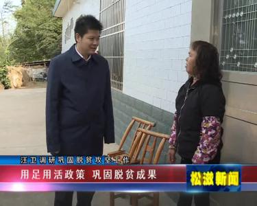 汪卫调研巩固脱贫攻坚工作