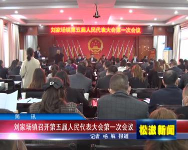 刘家场镇召开第五届人民代表大会第一次会议（20211101）