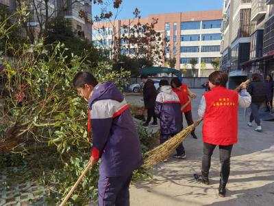 【创卫在行动】每天都是 “洁城日”