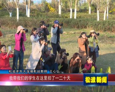 【乐乡风景线】沐浴冬日暖阳 乐乡公园休闲好地方