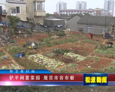 【创卫在行动】铲平闲置菜园 规范市容市貌