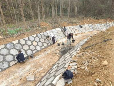 抢抓冬时，农田水利建设正酣