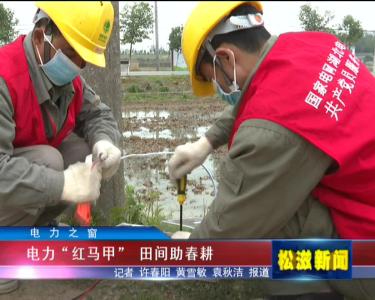 【电力之窗】电力“红马甲”  田间助春耕（20220412）