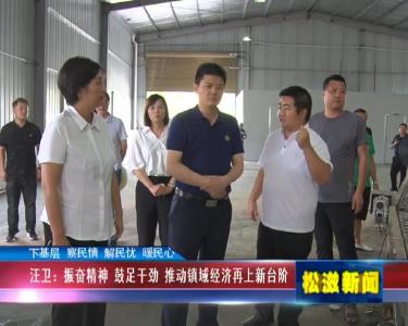 【下基层 察民情 解民忧 暖民心】汪卫：振奋精神  鼓足干劲  推动镇域经济再上新台阶（20220708）