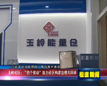 【《习近平谈治国理政》第四卷大家谈】玉岭社区：“四个推动”  助力社区构建治理共同体（20220721）