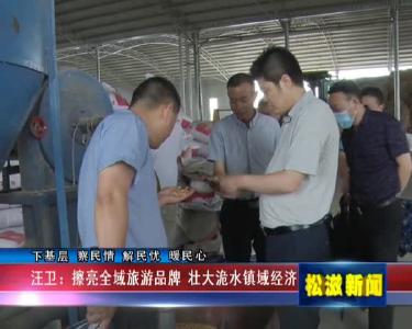 【下基层 察民情 解民忧 暖民心】汪卫：擦亮全域旅游品牌  壮大洈水镇域经济（20220721）