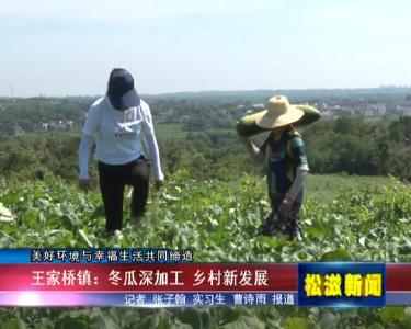 【美好环境与幸福生活共同缔造】王家桥镇：冬瓜深加工  乡村新发展（20220720）