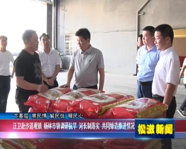 【下基层 察民情 解民忧 暖民心】汪卫赴沙道观镇 杨林市镇调研抗旱 河长制落实 共同缔造推进情况（20220818）