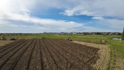 【秋收秋播垄上行】静待花开！松滋“抢”种油菜21万亩
