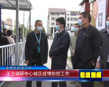 【疫情防控进行时】汪卫调研中心城区疫情防控工作（20221006）