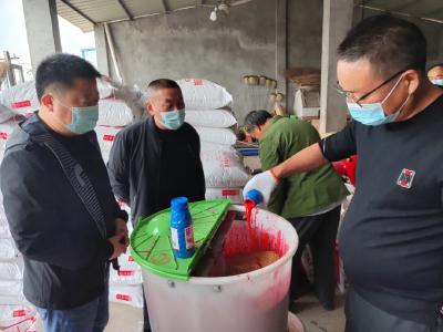 【秋收秋播垄上行】把“麦”开方促丰收