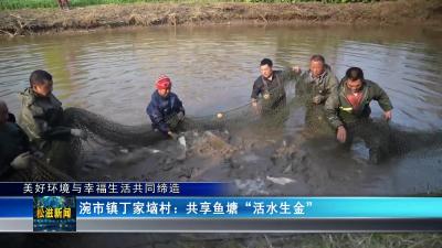 【美好环境与幸福生活共同缔造】涴市镇丁家垴村：共享鱼塘“活水生金”（20221209）